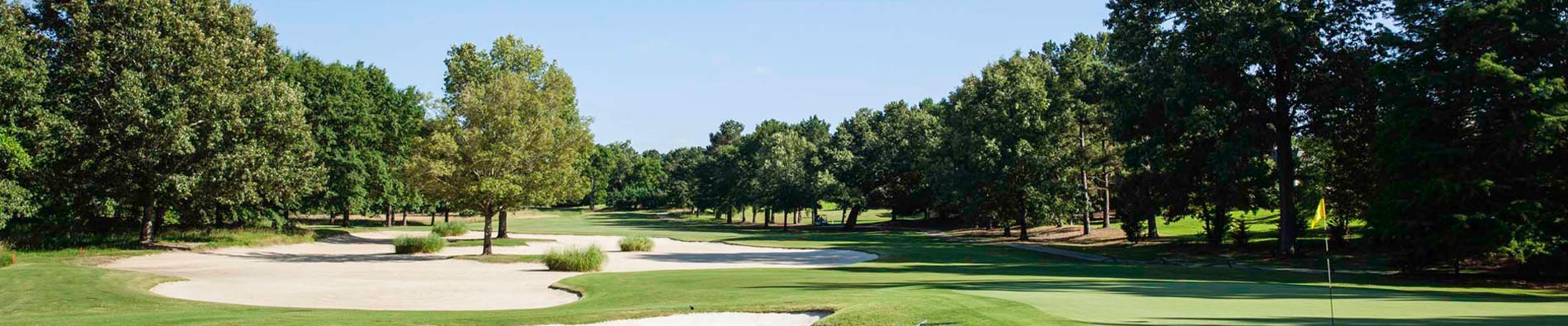 Experience - Annandale Golf Club, Madison, MS